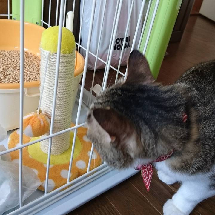 D6f7fc7c b448 4a51 be24 9bda9b09c280 1525571349487