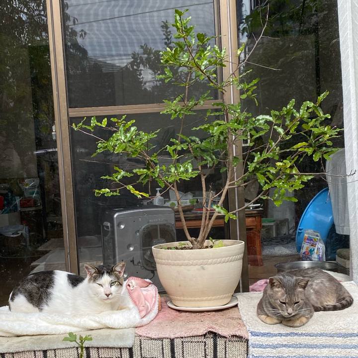 D6f809c7 8395 4af6 ab51 0e050a7095e8 1603161089312