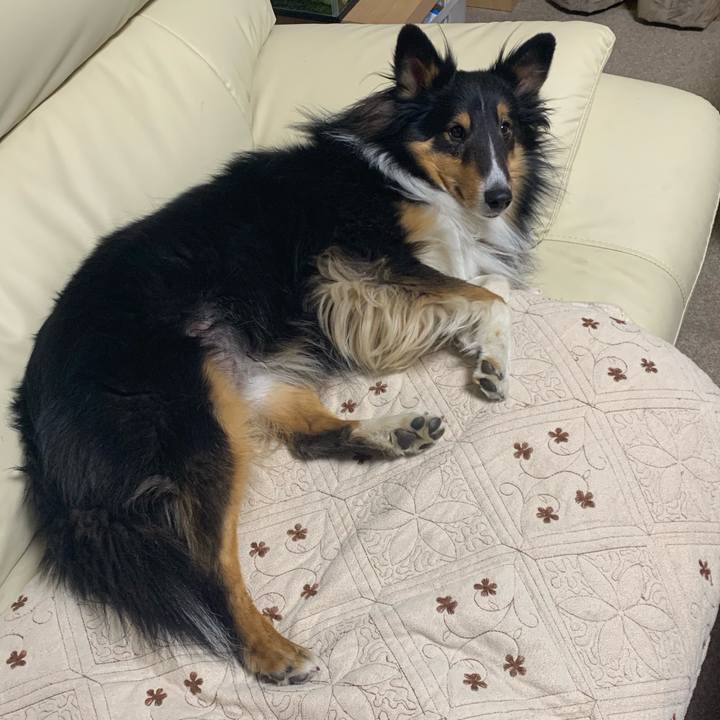 D6f80ebc 589a 4bf0 9482 d57b0ac806d3 1575492214529