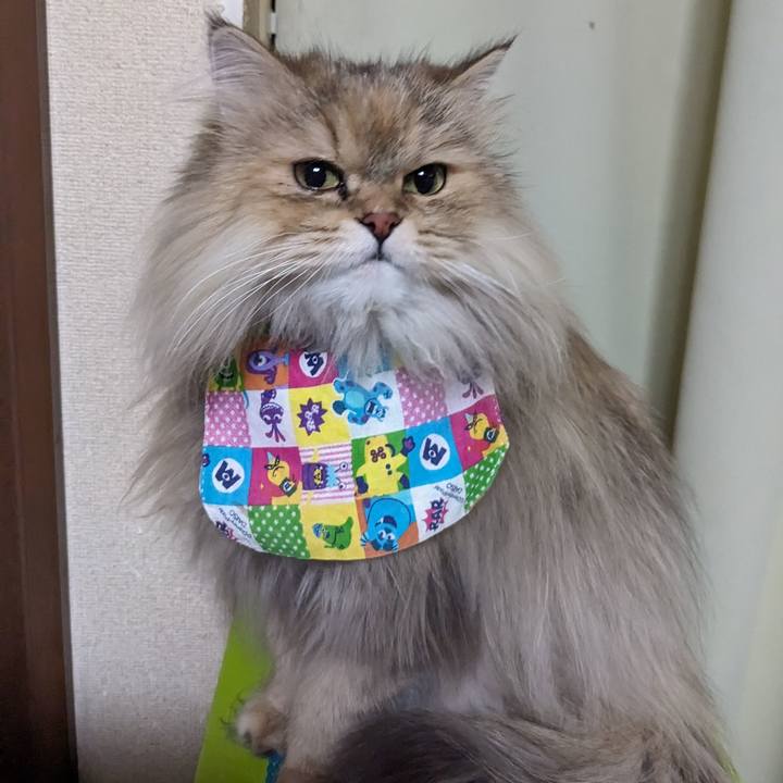 D6f81517 3e17 4753 8594 df9da7723d07 1712530755869