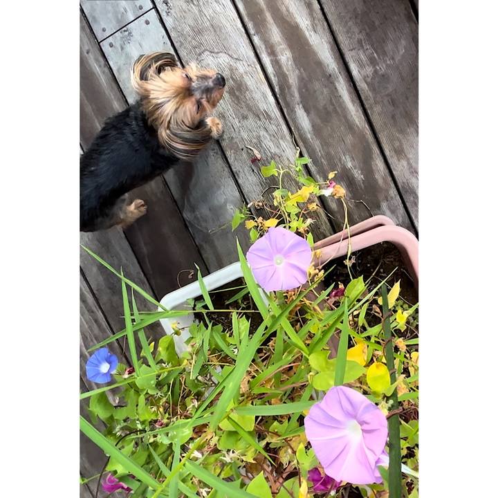 D6f84fe6 8ccf 4cd2 8c04 961f71e40fc1 1726711134934