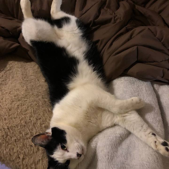 D6f868eb ee10 439d b84e e791a1ab3c0e 1553960121136