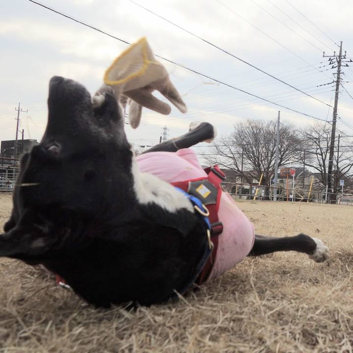 D6f87de7 2655 45aa 81f7 c0e440add297 1677201915751