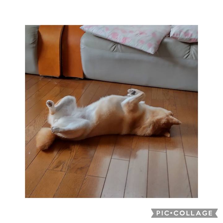 D6f88a99 6d2d 4bc3 ad22 9349a26fd744 1766274721854