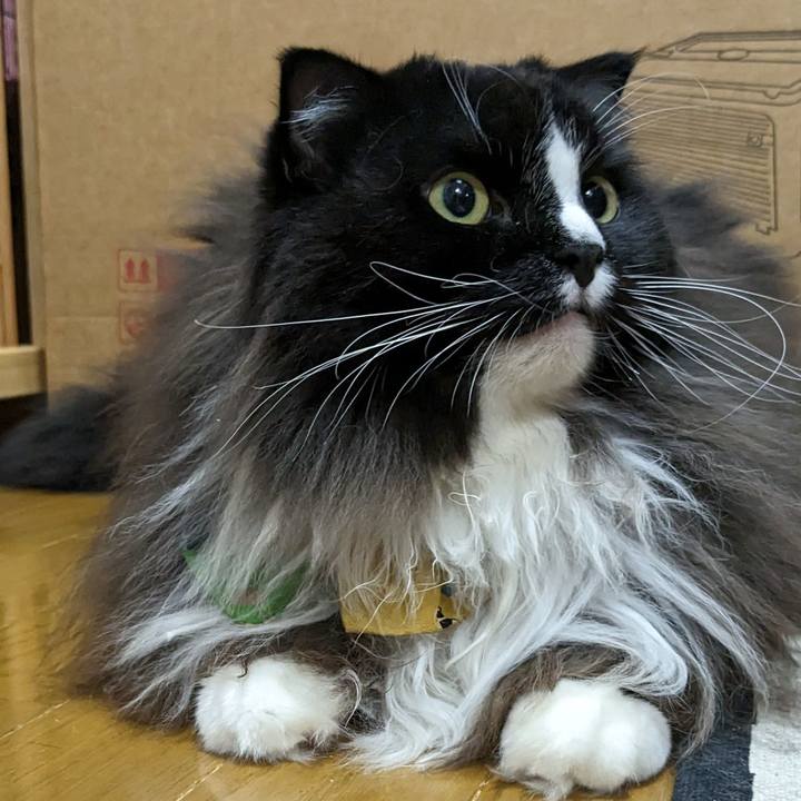 D6f89487 a899 488b 87ac 3a0bb2863e1b 1696301466571