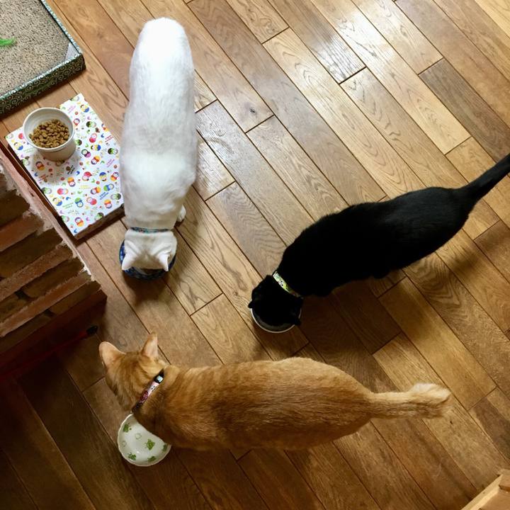 D6f89922 b841 46b0 a15c e642b3845601 1546947219298