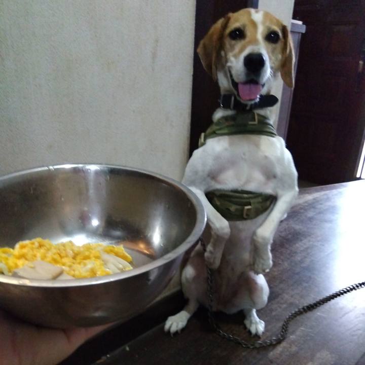 D6f92136 3841 4671 83d1 91762e4ca47f 1690887438066