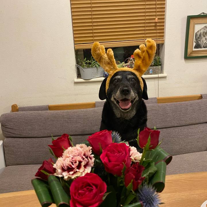 D6f957cc 553a 4bf8 bc37 8c69fd88e45d 1671971787861