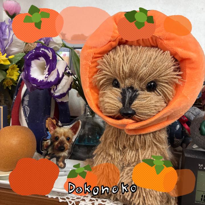 D6f968da 3dfc 4576 9992 0c207e139bcf 1761702791604