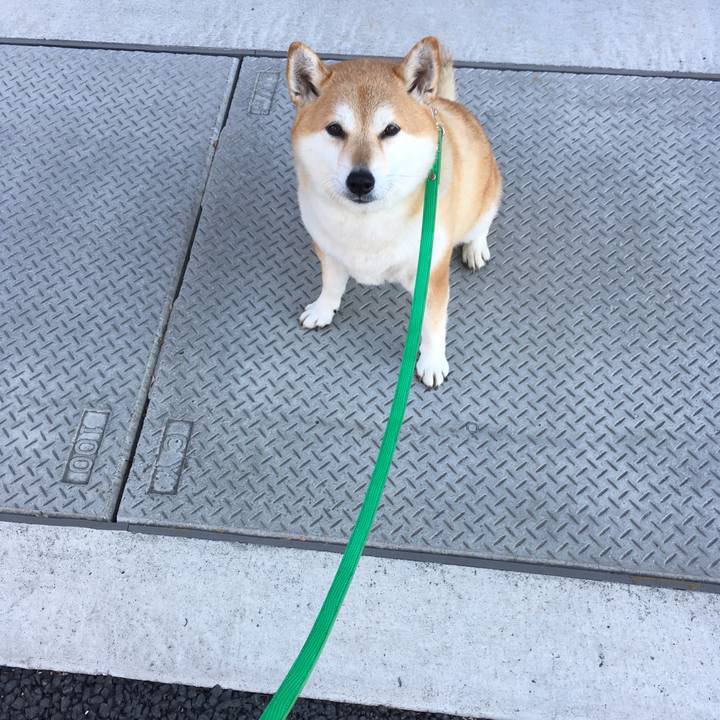 D6f98506 8fc1 4fb2 ac2a 15fcaff6b4ad 1604102766999