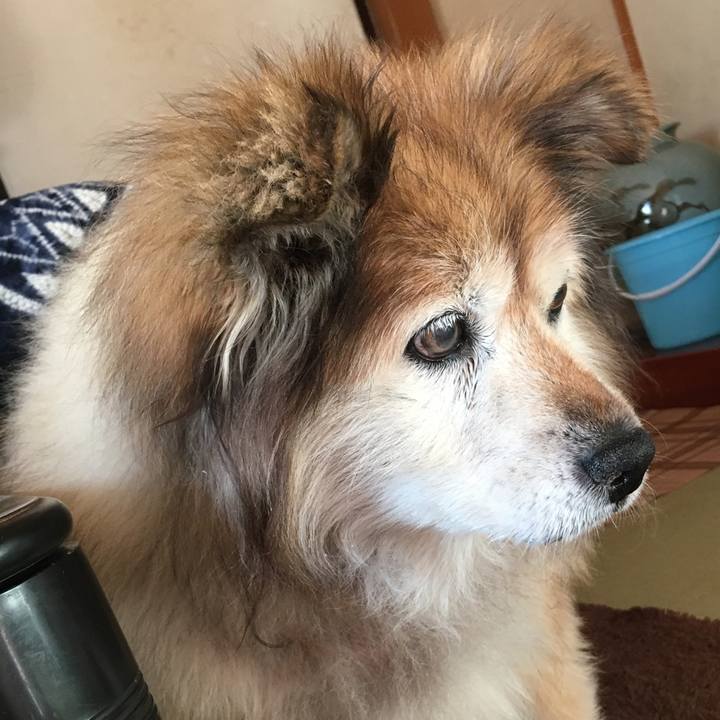 D6f994a2 455f 487f 9bc9 f31e694f8c03 1602910482898