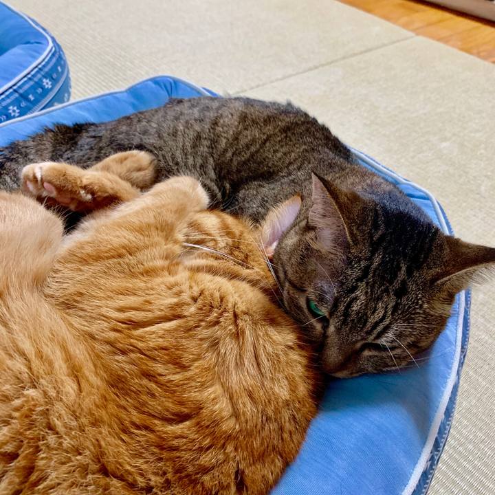 D6f99c37 6bb2 40a5 90e6 5875d7d1938c 1566793384633