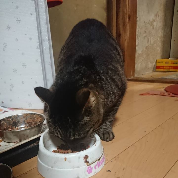 D6f9c380 e047 4764 8108 028000492969 1647351658201