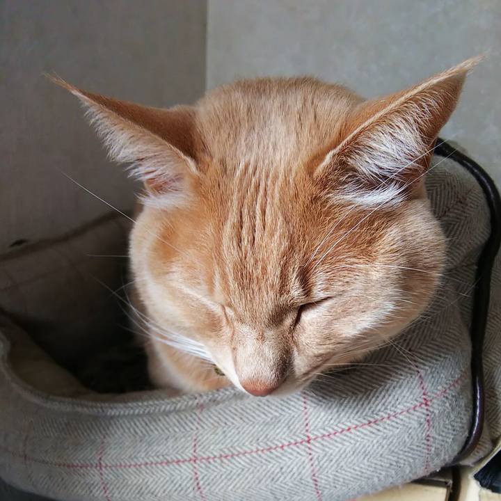 D6f9d25d 4275 4b15 a0cd a72272a3679d 1639277627647