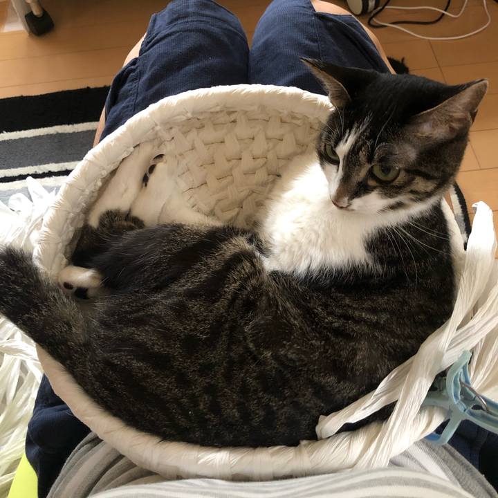 D6f9d42e 7898 45a0 9446 f48dd9d90dc3 1595945062123