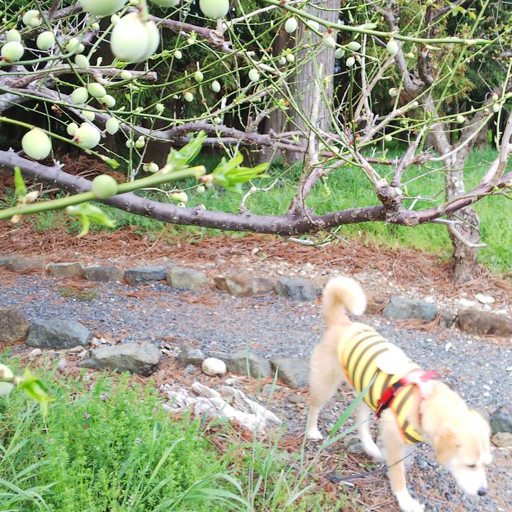 D6f9ea18 7f79 43d8 831b 0a7e2f029435 1555402494493