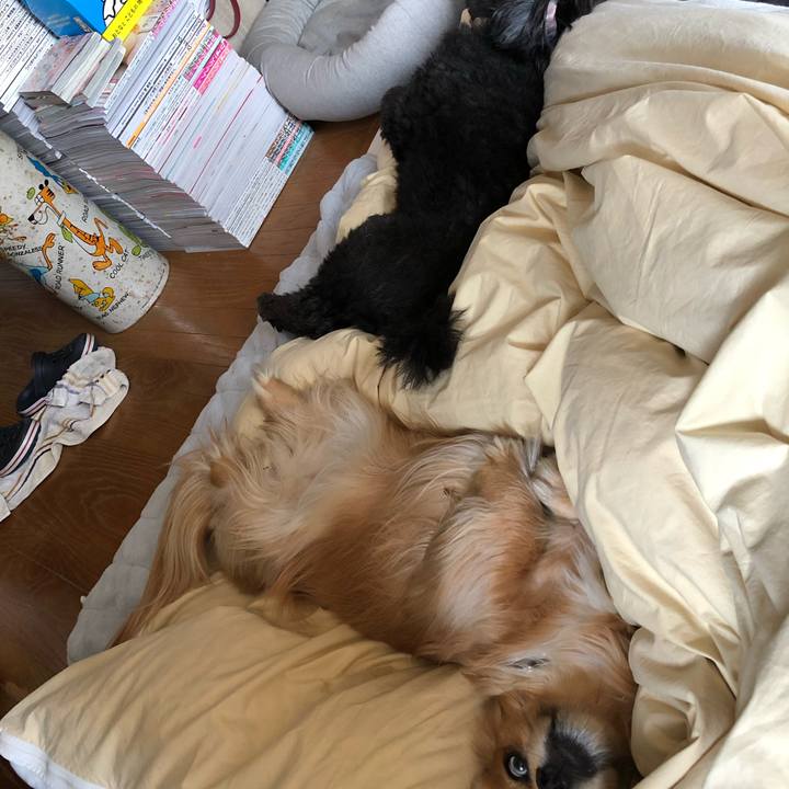 D6fa1189 a5eb 44b1 9941 ab7298103435 1557022883375