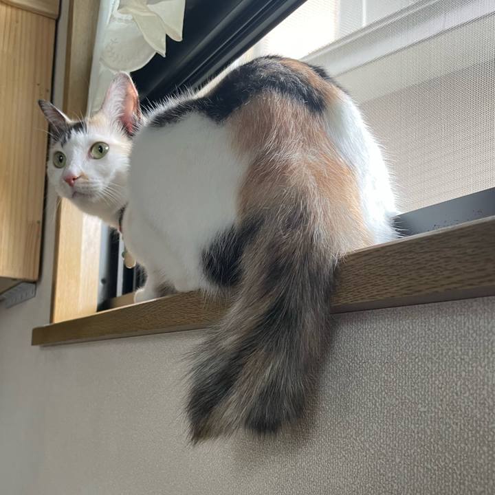 D6fa3157 31eb 4c75 9bab 97c6cef790ae 1726440876232