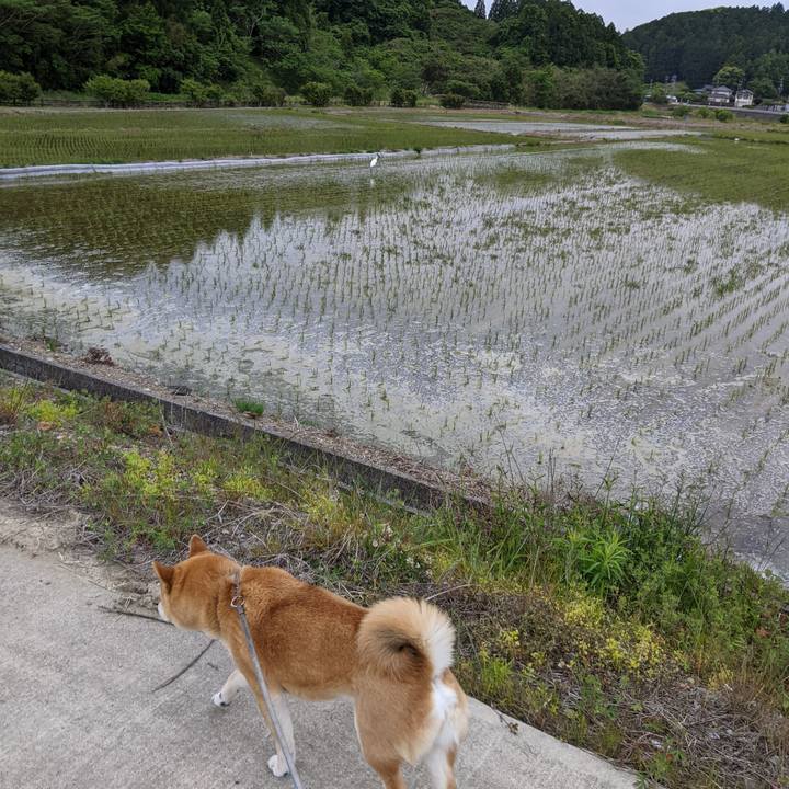 D6fa551e 75a5 472d b282 b304f5caea9c 1620536943691