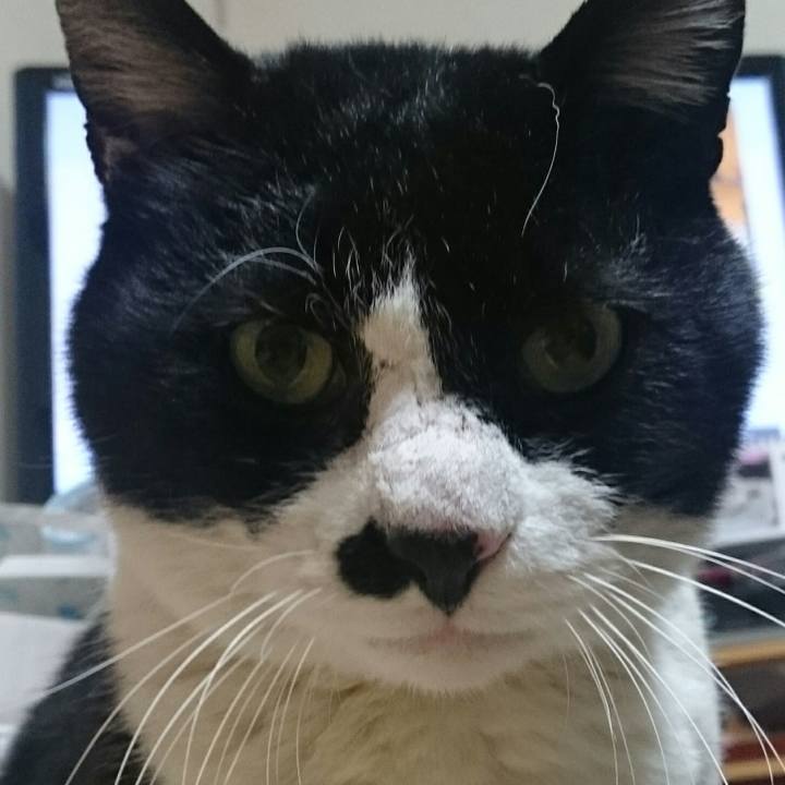 D6fa6102 0804 4953 9f13 3894e33afd86 1515802947173