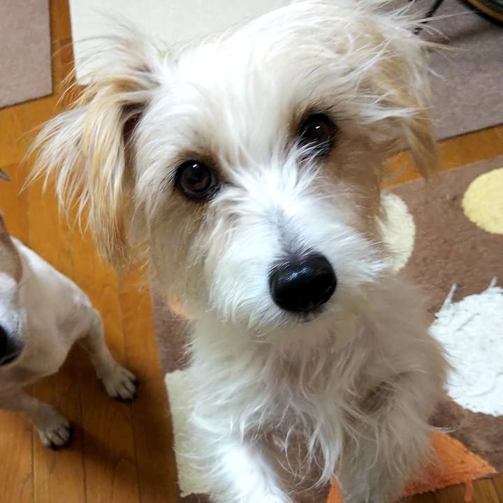 D6fa6c3a c173 4f16 895c dcdb21a3d1d6 1641686659088