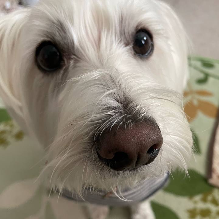 D6faf322 5132 47b1 b0b0 6d043b3aae60 1699701009264