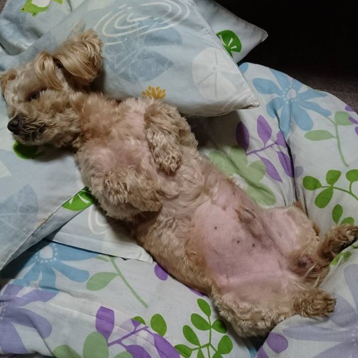 D6fb1277 0326 4a48 b071 9017c1b6afd4 1618496314065