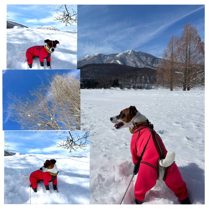 D6fb3b19 265e 4619 b843 1f3f16f7875d 1645940851003