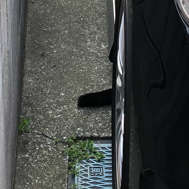 D6fb4757 93e8 4b34 995a c37332b49e4d 1552764843533