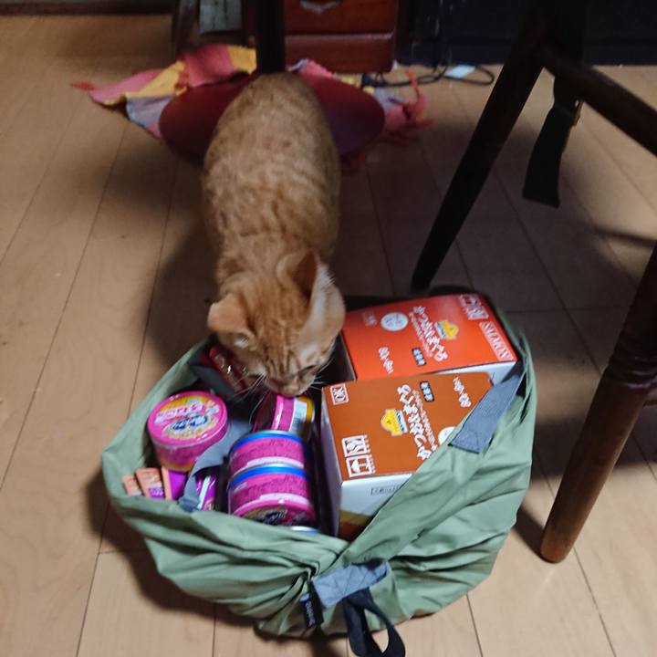 D6fb49cb 496d 4fa9 b46b 457f185e4cfd 1637315477157