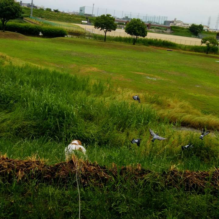 D6fb4e49 2e85 485d 826f 62adaad5faf4 1559906457215