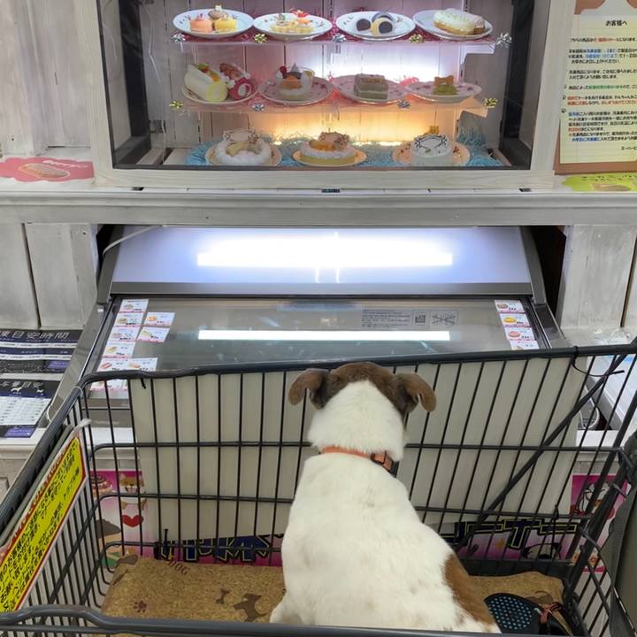 D6fb7775 cb8f 4d11 873b ed0999e4a1ce 1593433147717