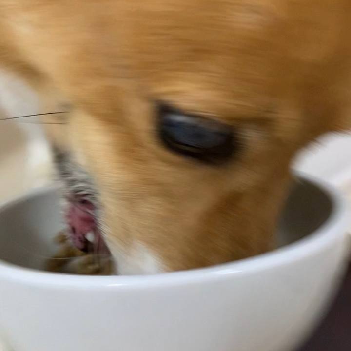 D6fb9451 6f50 4592 8617 c37077ed1920 1684490814264