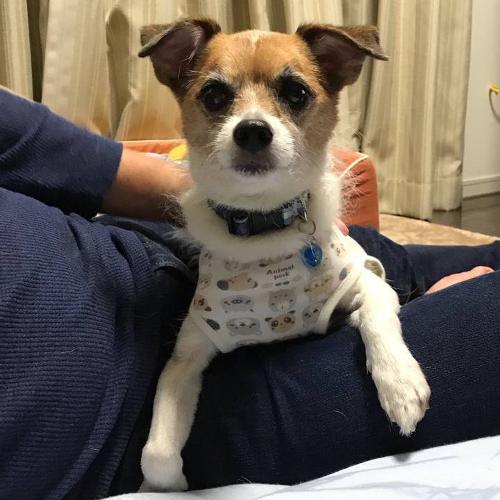 D6fbc47d 842e 4254 aea9 23f4d73945d8 1537535631265