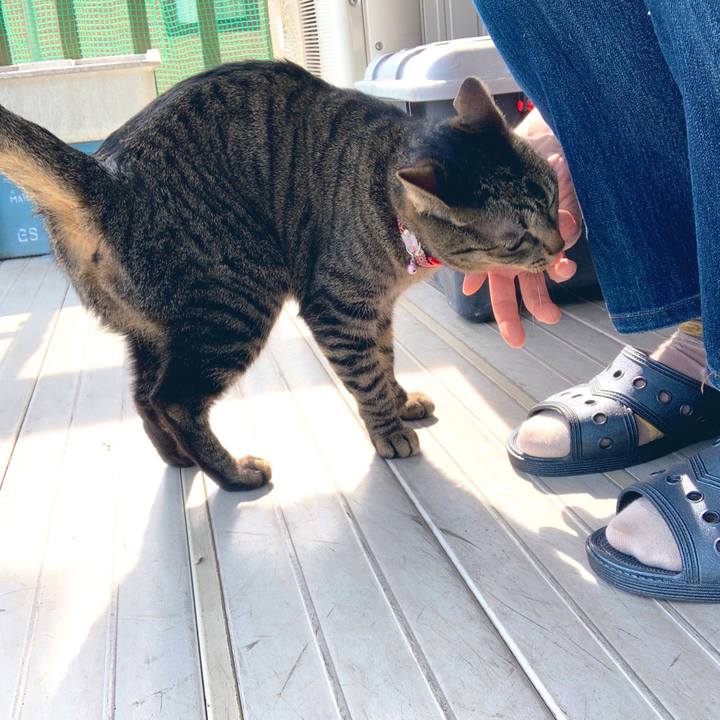 D6fbcbac 0504 4f47 b51e 8656a384a786 1553216100717