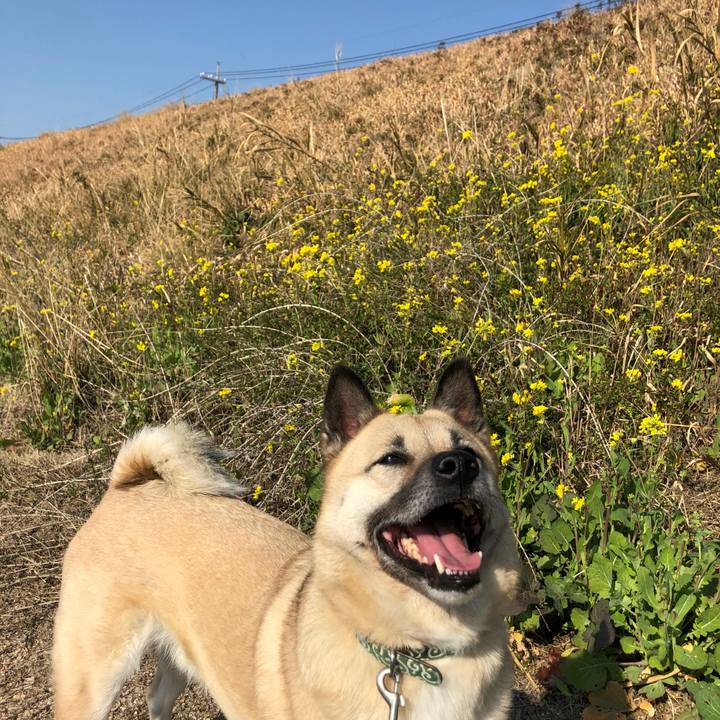 D6fbe977 5205 4b0b 8f1d 6fe22ce78b87 1613818949737