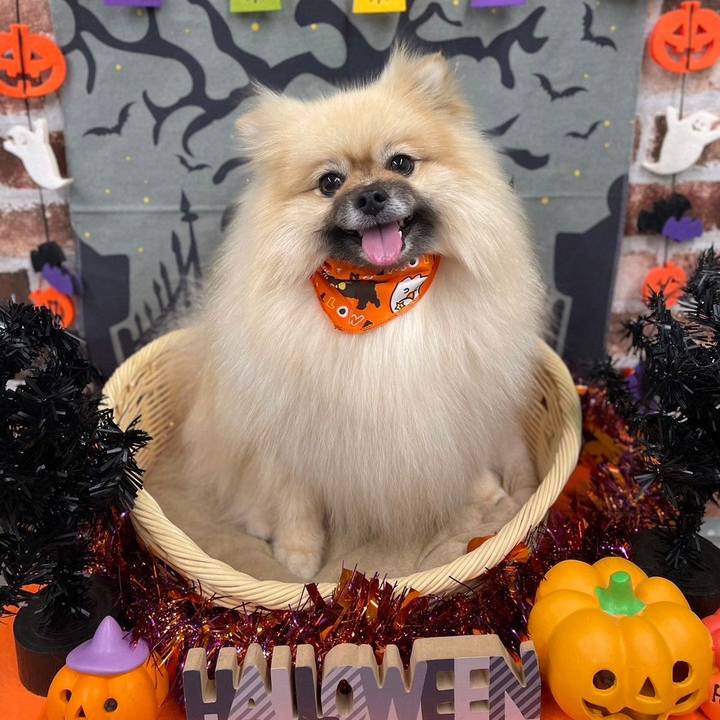 D6fbf48c ecc0 4bb8 82ca a68daac9d312 1730346198650