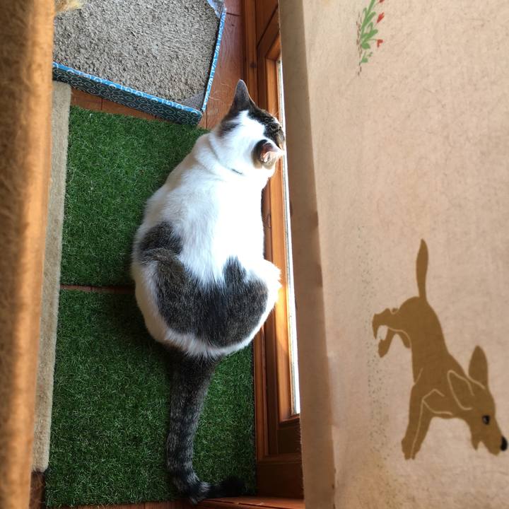 D6fc0e49 00ca 4221 93e3 f69e3a4fc389 1528895498949