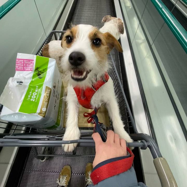 D6fc1ac9 fb6a 4aa2 bc36 9a30d2ea6217 1676115312216