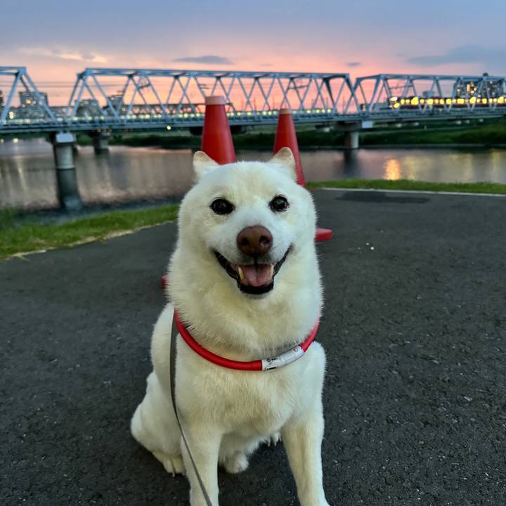 D6fc2406 6fc4 4eb0 9d4c 5fb30bc3ba4b 1722074375499