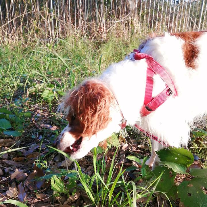 D6fc5703 d337 4ded 8b96 bb0ac52d6ae3 1603940593258