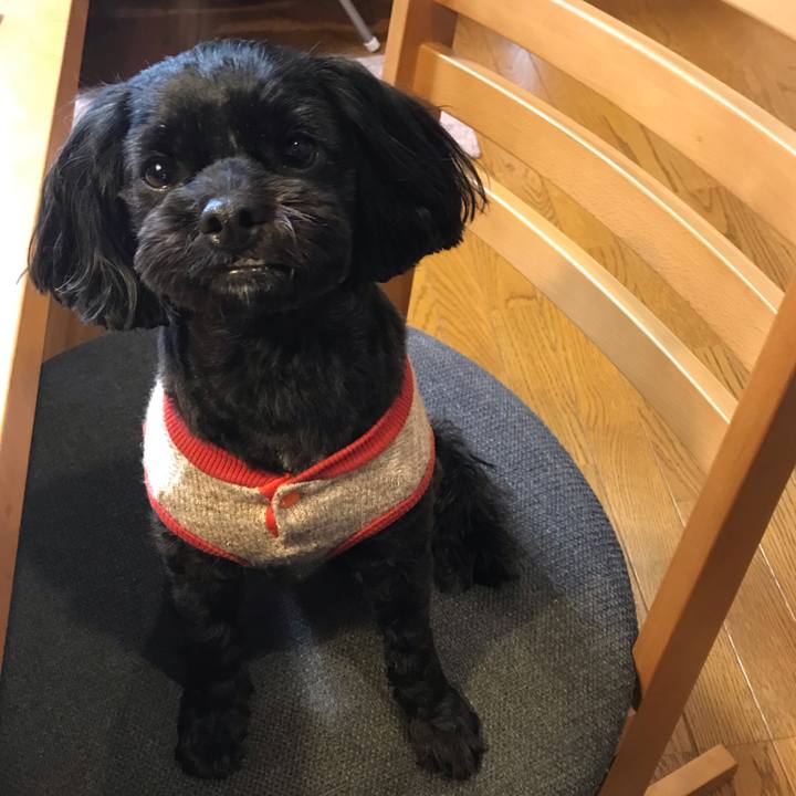 D6fc7d07 0e10 46bc 8f92 84f69d207c6c 1548682974799