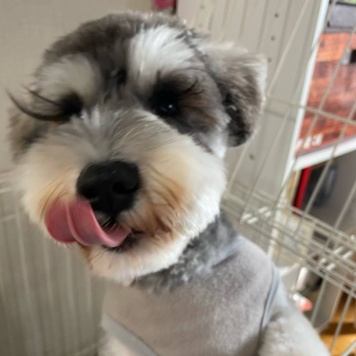 D6fc858b 614e 4ae0 804d 726d576932a2 1581222613396