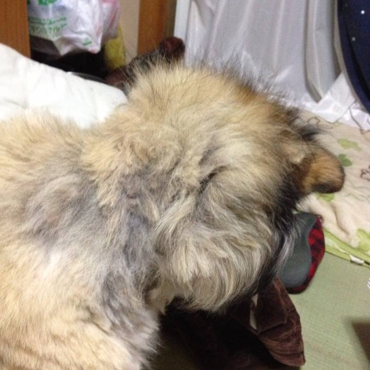 D6fc997f a5e0 4f67 ad59 c6809a7fc600 1554876734453