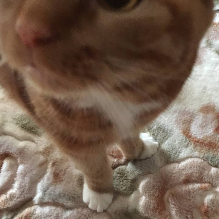 D6fca66c cbd0 426a 93f6 7acad0139a7b 1551052872810