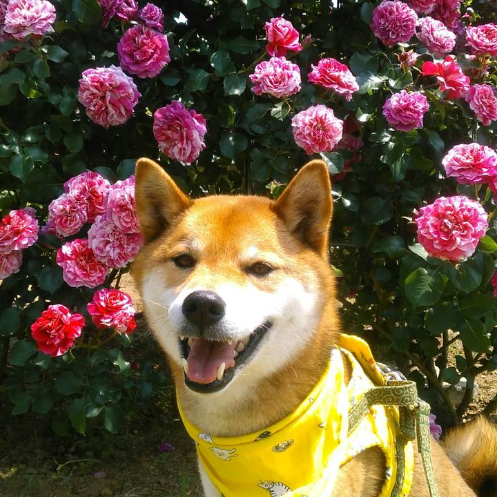 D6fcd022 bdf8 4d7a 951f 02fe1ea0772f 1527386285233