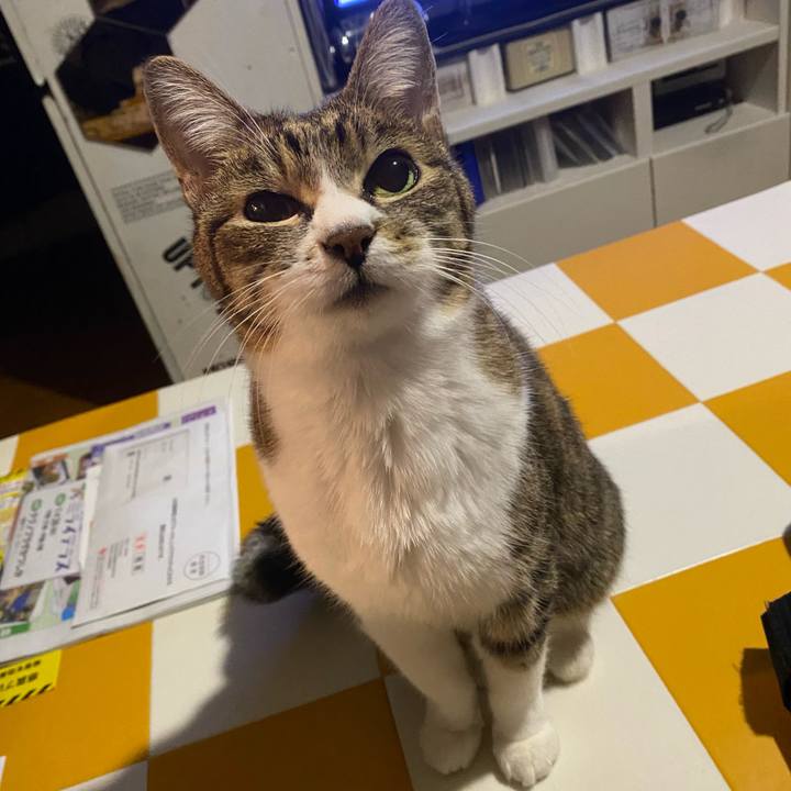 D6fcd2c7 e035 439a bbf7 cca3ae1a5322 1706039190237