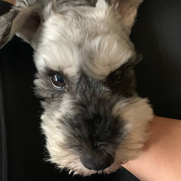 D6fcfd1a ae8f 4f1d 85e7 6bb8638833dd 1655081554585