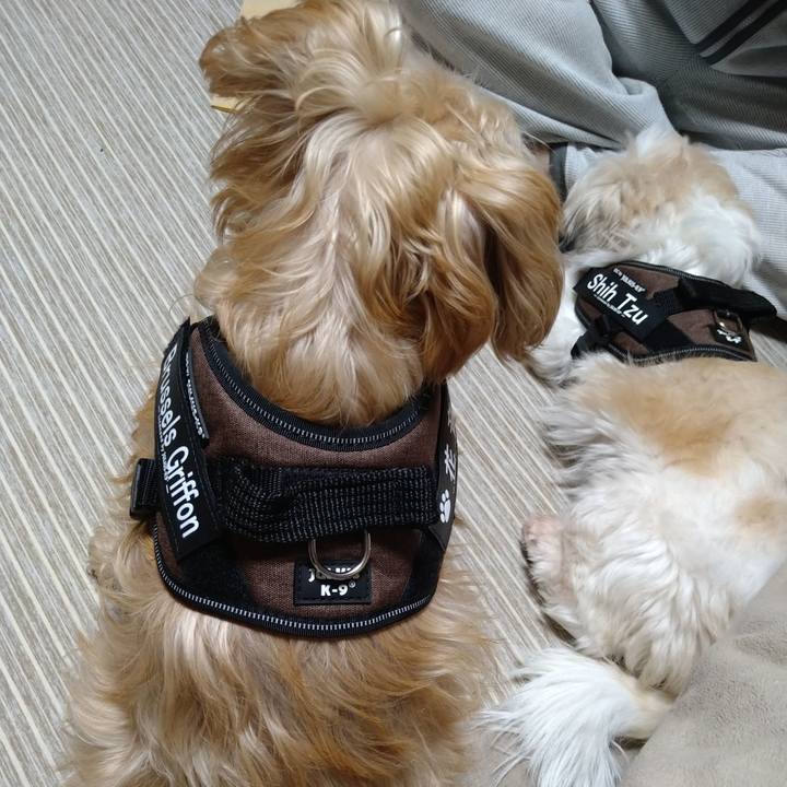 D6fd0a19 ad0e 435f 9f59 0424b3bb91c0 1605955080147