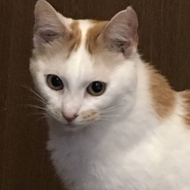 D6fda951 c656 4bfe a083 fd2253ce04e4 1524734667162